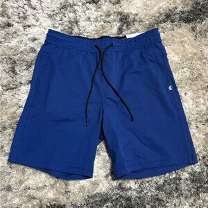 American Eagle Outfitters Royal Blue Men's Fleece Jogger Shorts